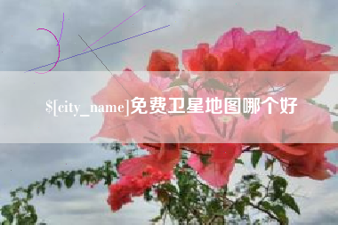 陆丰免费卫星地图哪个好
