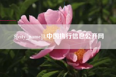 陆丰1.中国执行信息公开网