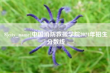 陆丰中国消防救援学院2024年招生分数线