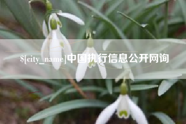 陆丰中国执行信息公开网询