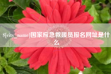 陆丰国家应急救援员报名网址是什么