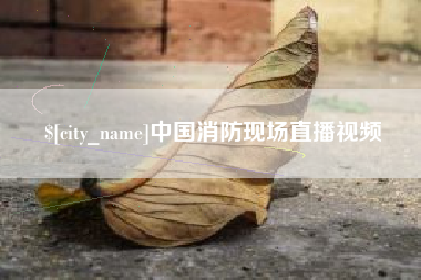 陆丰中国消防现场直播视频