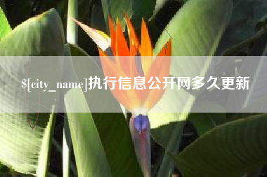 陆丰执行信息公开网多久更新