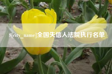 陆丰全国失信人法院执行名单