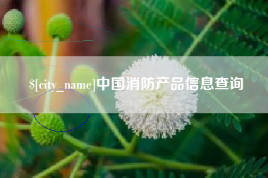 陆丰中国消防产品信息查询