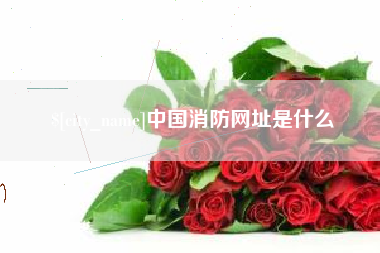 陆丰中国消防网址是什么