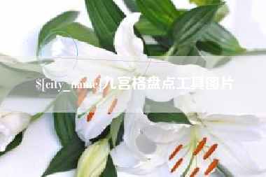 陆丰九宫格盘点工具图片