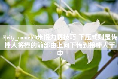陆丰60米接力赛技巧-下压式则是传棒人将棒的前部由上向下传到接棒人手中