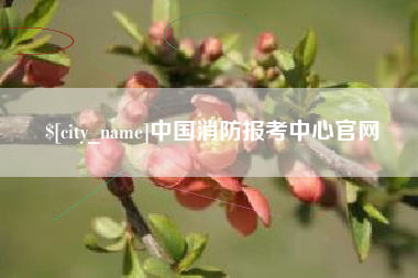 陆丰中国消防报考中心官网
