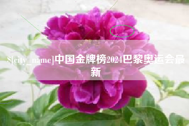 陆丰中国金牌榜2024巴黎奥运会最新