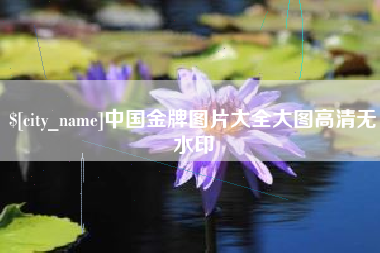 陆丰中国金牌图片大全大图高清无水印