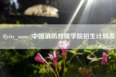 陆丰中国消防救援学院招生计划表