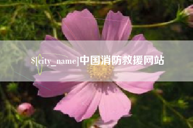 陆丰中国消防救援网站