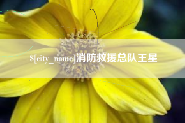 陆丰消防救援总队王星