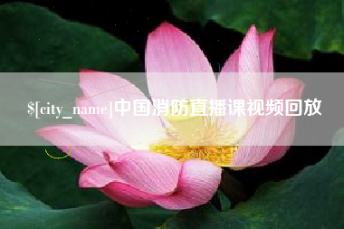 陆丰中国消防直播课视频回放
