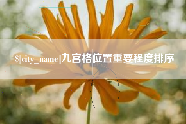 陆丰九宫格位置重要程度排序