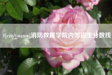 陆丰消防救援学院内部招生分数线