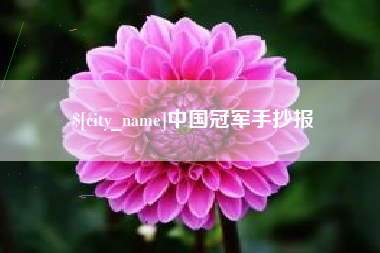 陆丰中国冠军手抄报
