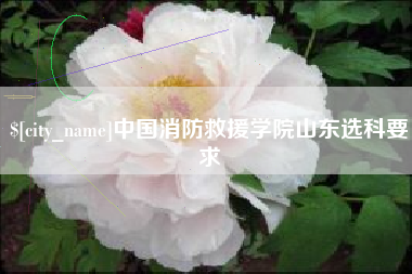 陆丰中国消防救援学院山东选科要求