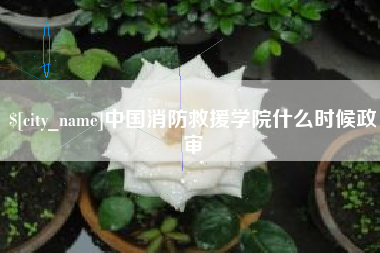 陆丰中国消防救援学院什么时候政审