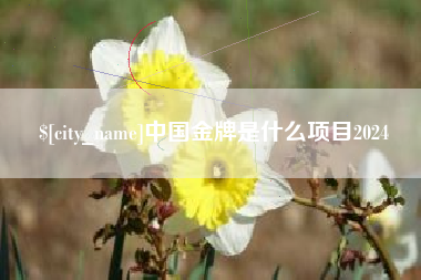 陆丰中国金牌是什么项目2024