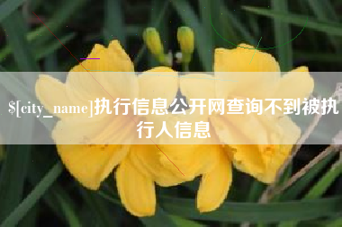 陆丰执行信息公开网查询不到被执行人信息