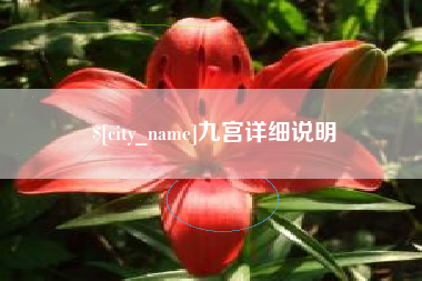 陆丰九宫详细说明