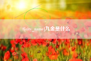 陆丰九金是什么