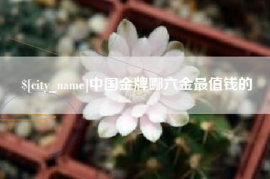陆丰中国金牌哪六金最值钱的