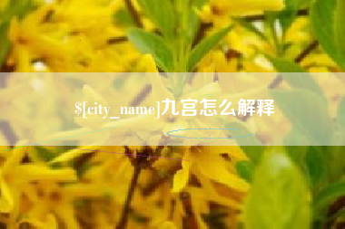 陆丰九宫怎么解释