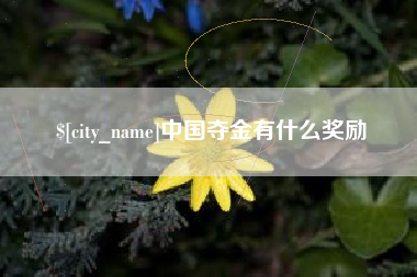 陆丰中国夺金有什么奖励