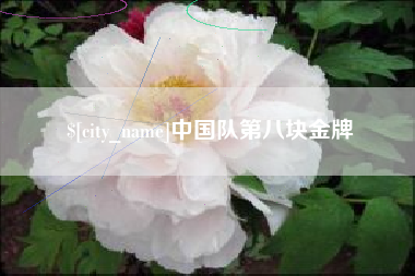 陆丰中国队第八块金牌