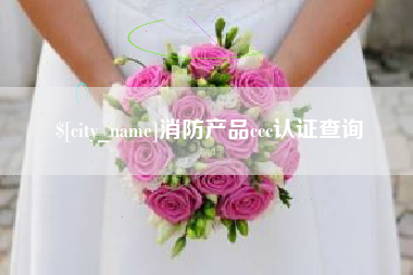 陆丰消防产品ccc认证查询