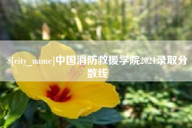 陆丰中国消防救援学院2021录取分数线