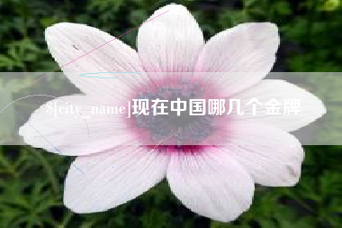 陆丰现在中国哪几个金牌