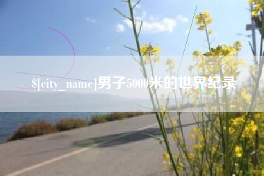 陆丰男子5000米的世界纪录