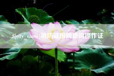 陆丰消防证国网查询操作证