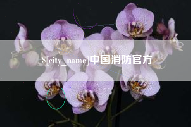 陆丰中国消防官方