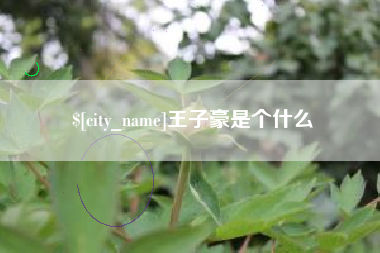 陆丰王子豪是个什么