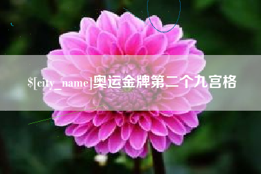 陆丰奥运金牌第二个九宫格