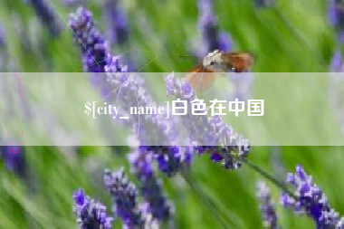 陆丰白色在中国
