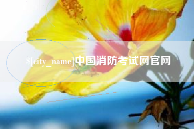 陆丰中国消防考试网官网