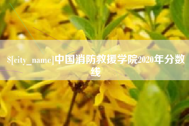 陆丰中国消防救援学院2020年分数线