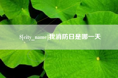 陆丰我消防日是哪一天