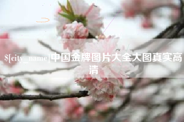 陆丰中国金牌图片大全大图真实高清