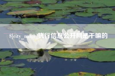 陆丰执行信息公开网是干嘛的