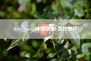 陆丰中国地图(含比例尺)
