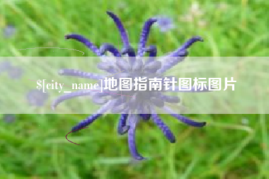 陆丰地图指南针图标图片