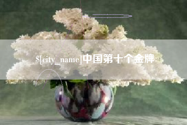 陆丰中国第十个金牌