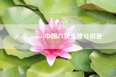 陆丰中国六块金牌分别是